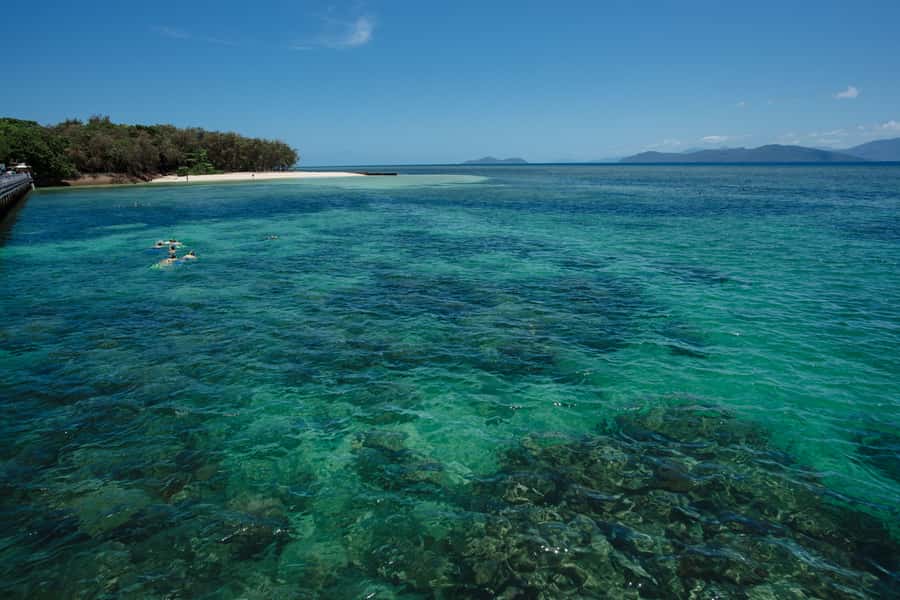 From Cairns: Green Island Half-Day Morning Cruise - A quick catamaran ride from Cairns