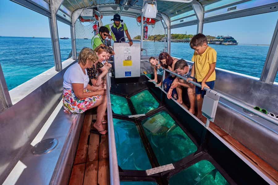 From Cairns: Green Island Half-Day Morning Cruise - Should you book the Green Island half-day cruise?