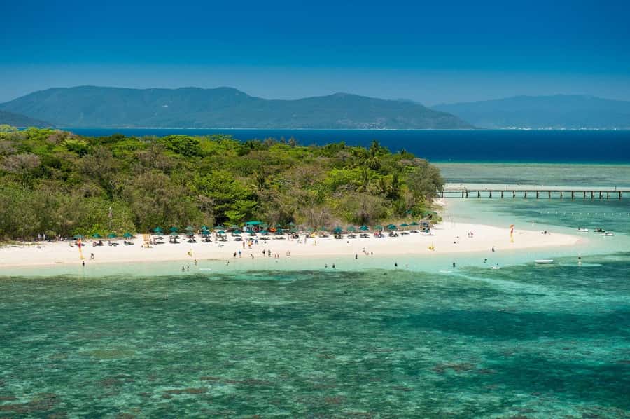 From Cairns: Half-Day Afternoon Cruise to Green Island - Finding the best use of 2 hours and 15 minutes
