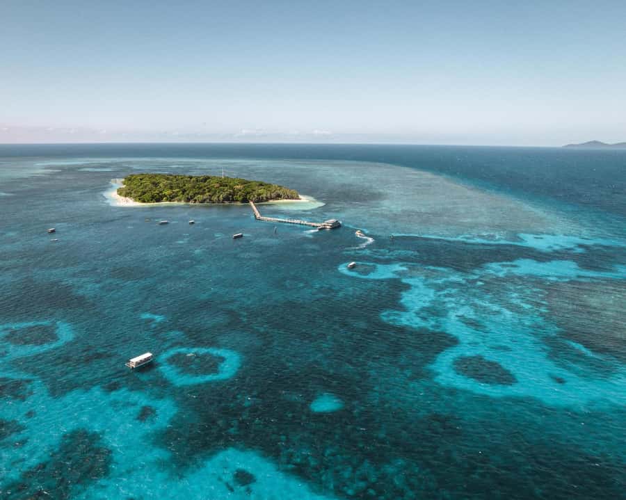 From Cairns: Half-Day Afternoon Cruise to Green Island - Choosing between snorkeling and glass-bottom viewing