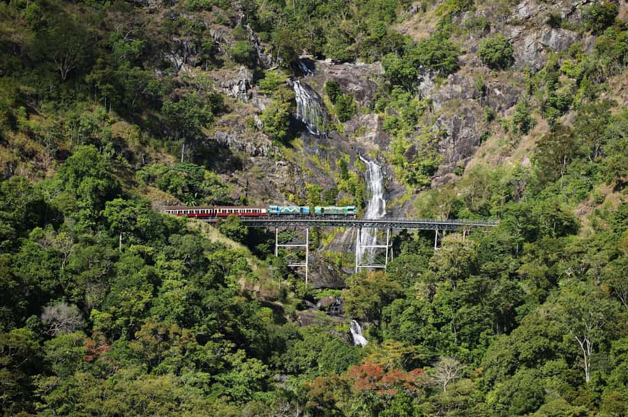 From Cairns: Kuranda Tour with Transfer - Key points before you book
