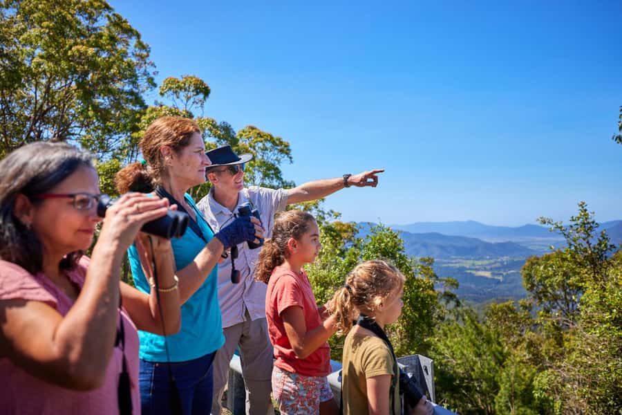 From Cairns: Rainforest & Nocturnal Wildlife Tour - From Cairns to the Atherton Tablelands