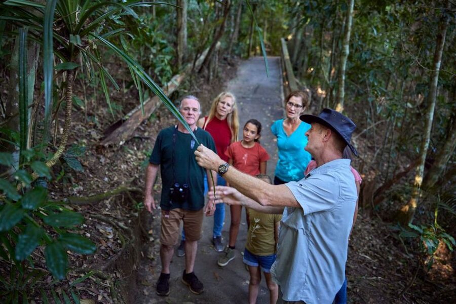 From Cairns: Rainforest & Nocturnal Wildlife Tour - Lake Eacham and the search for the platypus