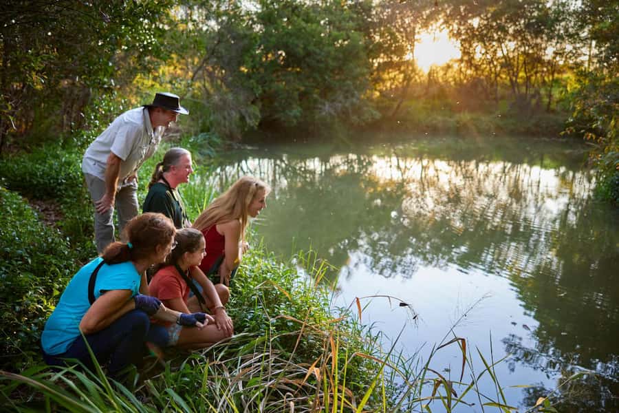 From Cairns: Rainforest & Nocturnal Wildlife Tour - What the $155 price really covers