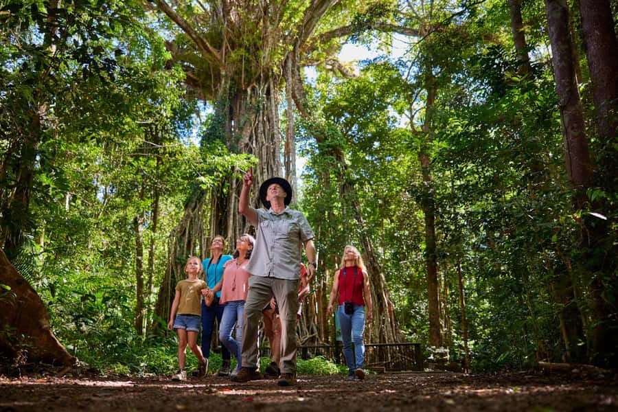 From Cairns: Rainforest & Nocturnal Wildlife Tour - Who will enjoy this most