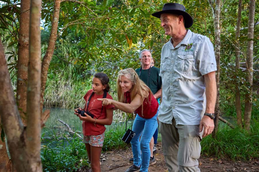 From Cairns: Rainforest & Nocturnal Wildlife Tour - Cathedral Fig Tree and the first rainforest walk