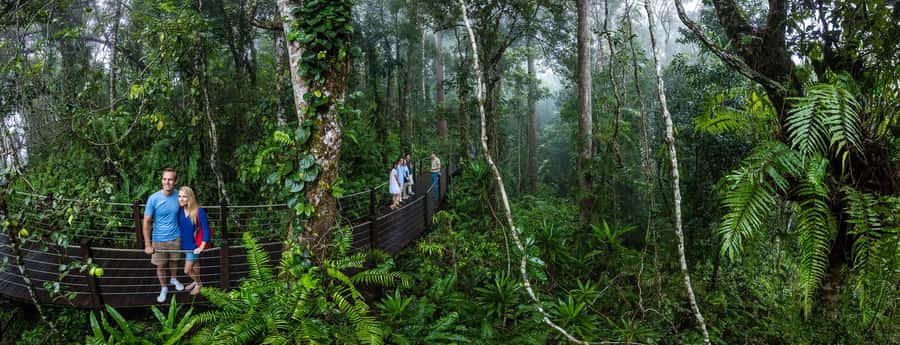 From Cairns: Self-Guided Kuranda Trip with Train and Skyrail - Koalas, butterflies, birds, and other paid stops