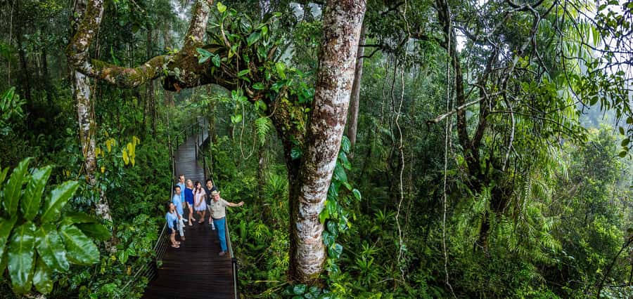 From Cairns: Self-Guided Kuranda Trip with Train and Skyrail - Is $127 good value?