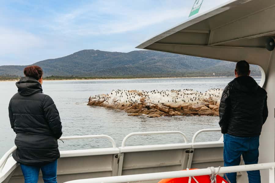 From Coles Bay: Wineglass Bay Cruise with Lunch - How rough is the water?