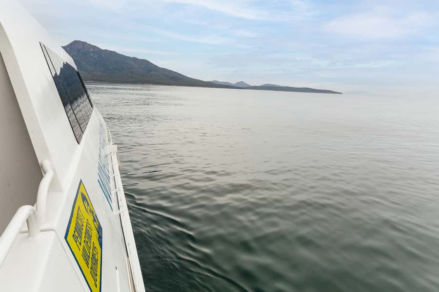 From Coles Bay: Wineglass Bay Cruise with Lunch - Is $141 good value?
