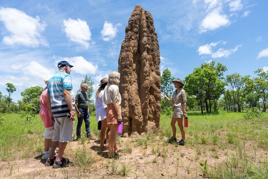 From Darwin: 3-Day Kakadu and Litchfield 4WD Camping Tour - Price, meals, and what you still need to pay