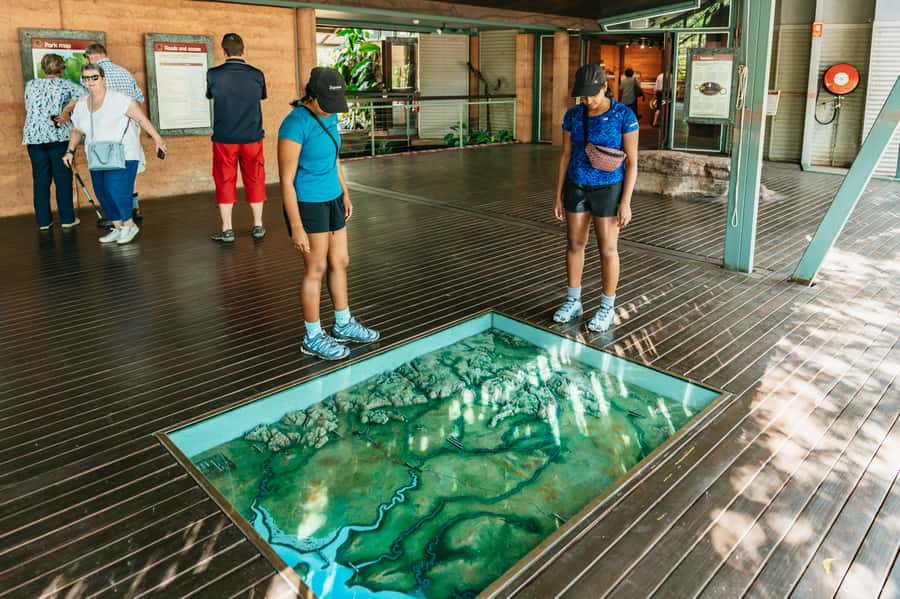 From Darwin: Kakadu Wilderness Escape & Rock Art Day Tour - Is $180 good value?