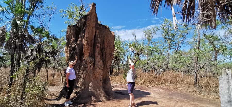 From Darwin: Litchfield National Park Small-Group Day Trip - The day at a glance