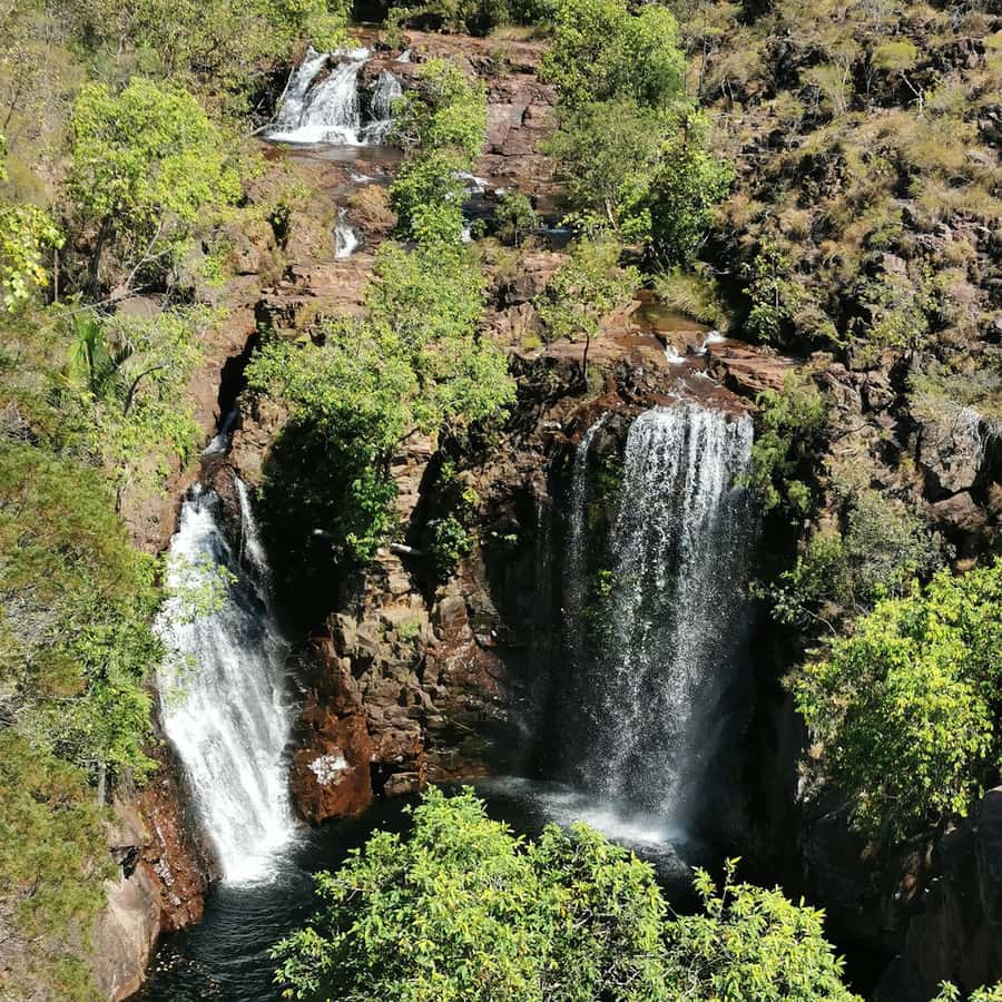 From Darwin: Litchfield National Park Small-Group Day Trip - Why Litchfield makes a good Darwin day trip