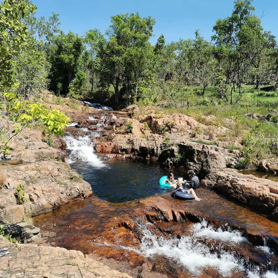 From Darwin: Litchfield National Park Small-Group Day Trip - Magnetic Termite Mounds: small insects, huge structures