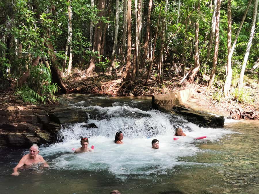 From Darwin: Litchfield National Park Small-Group Day Trip - Florence Falls and the Monsoon Forest walk