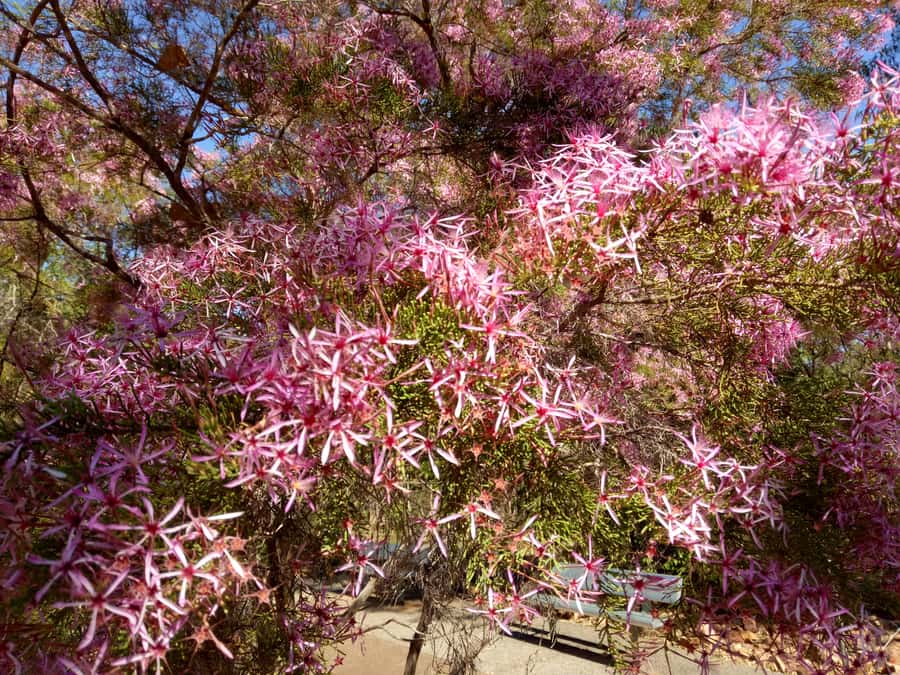 From Darwin: Litchfield National Park Small-Group Day Trip - Berry Springs adds a warm finish