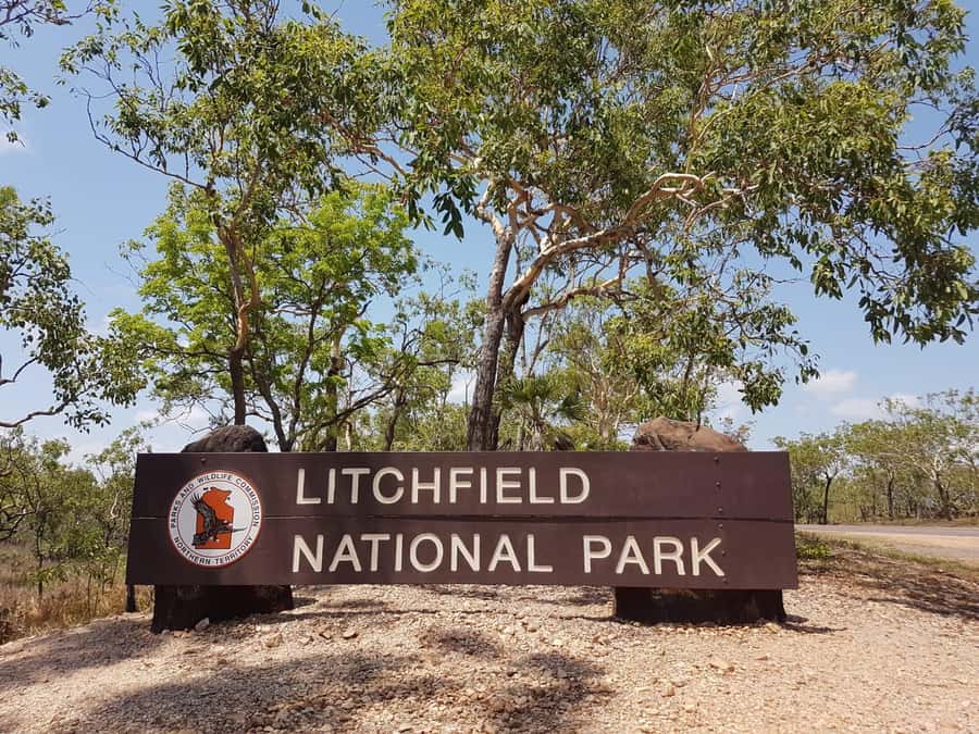 From Darwin: Litchfield National Park & Waterfalls Day Trip - Why this Litchfield day trip works from Darwin