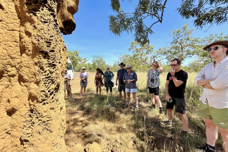 From Darwin: Litchfield National Park & Waterfalls Day Trip - The final park stops and wildlife viewing