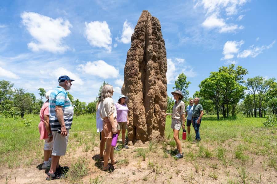 From Darwin: Litchfield National Park & Waterfalls Day Trip - Leaving Darwin from The Leea