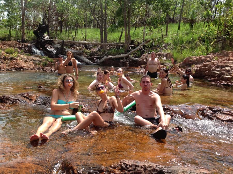 From Darwin: Litchfield Park Tour & Jumping Crocodile Cruise - Five things to know before booking