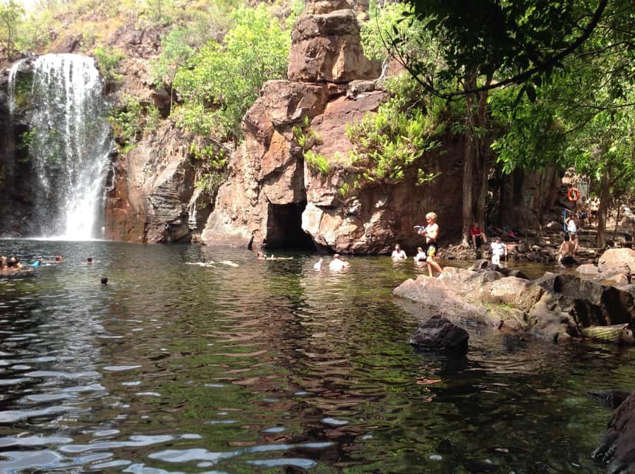 From Darwin: Litchfield Park Tour & Jumping Crocodile Cruise - Why this Darwin day trip works