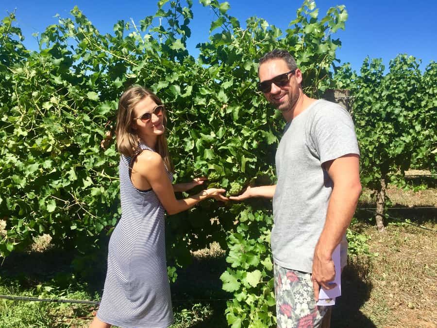 From Dunsborough/Busselton: Margaret River Wine Adventure - Is $123 good value?