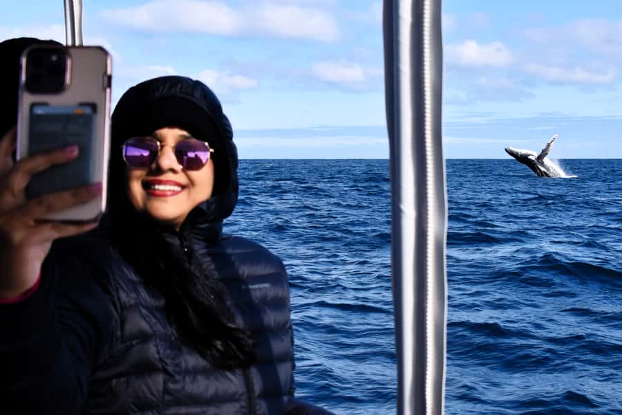 From Fremantle: 2-Hour Luxury Whale-Watching Cruise - How the commentary changes the experience