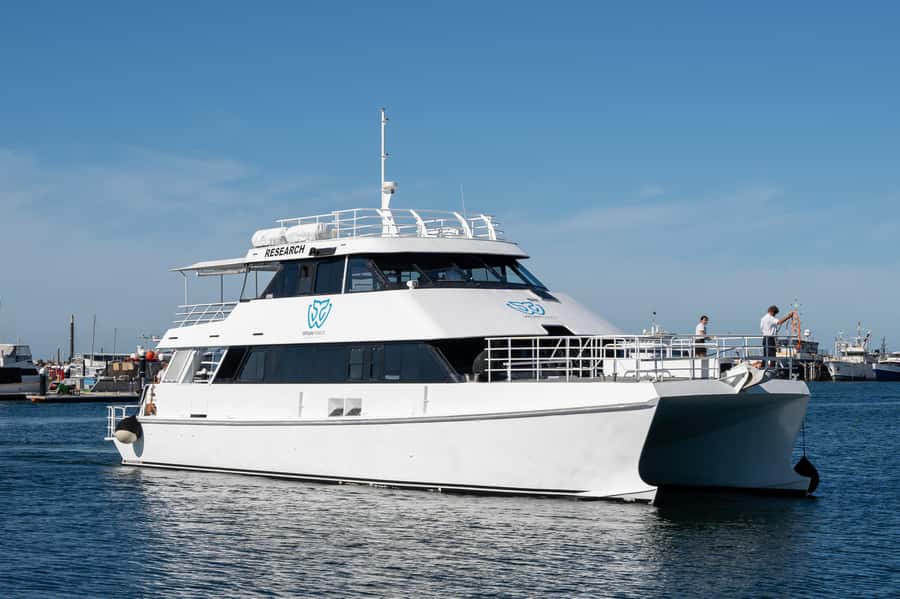 From Fremantle: 2-Hour Luxury Whale-Watching Cruise - Five decks, three levels, and room to move