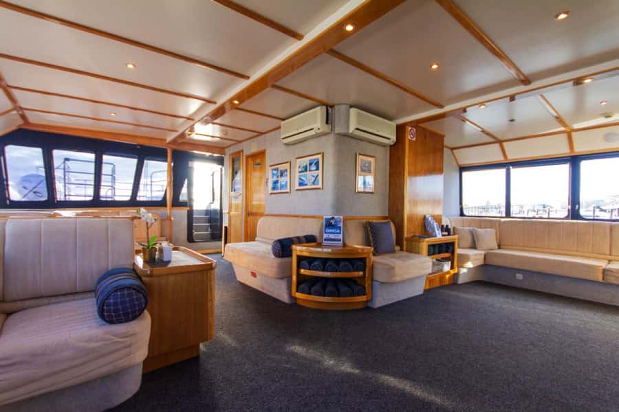 From Fremantle: 2-Hour Luxury Whale-Watching Cruise - Practical tips for a better morning