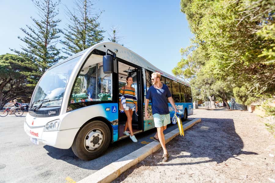 From Fremantle: Rottnest Island Ferry & Bus Day Tour - Key points to know before you go