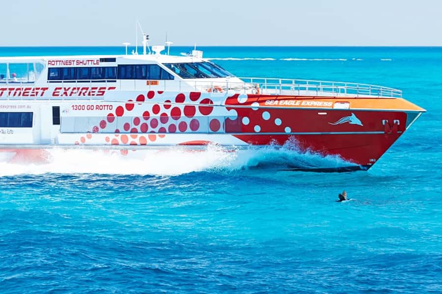 From Fremantle: Rottnest Island Ferry & Bus Day Tour - Starting at Fremantle’s B Shed terminal