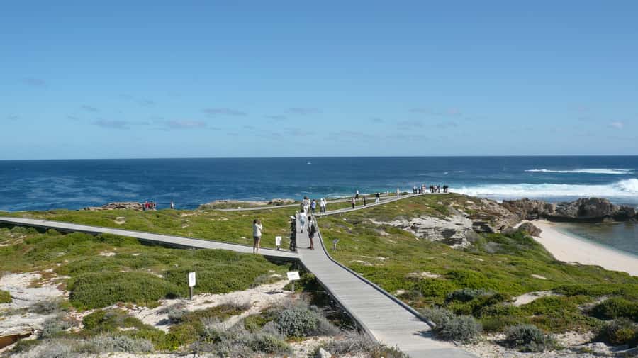 From Fremantle: Rottnest Island Ferry & Bus Day Tour - Beaches, bays, and Wadjemup Lighthouse