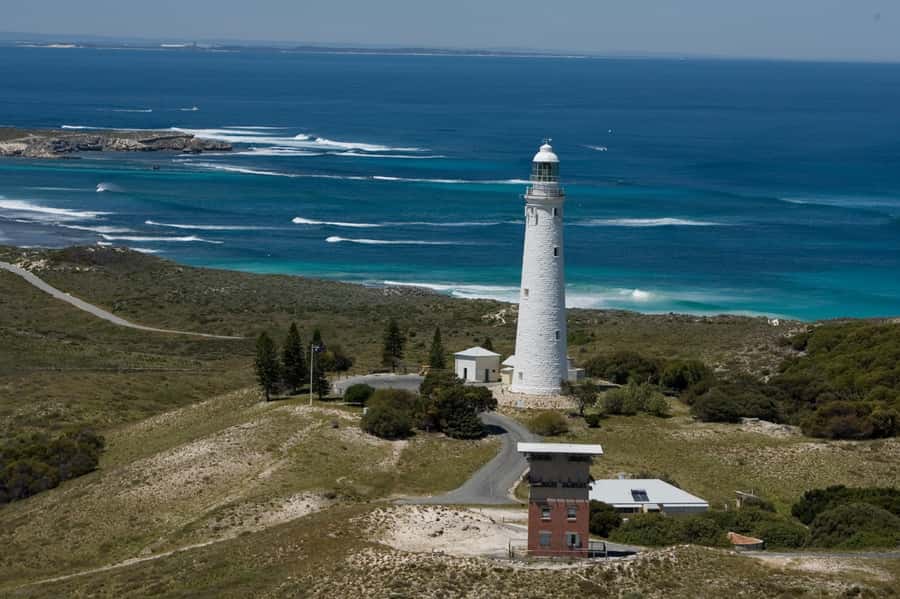From Fremantle: Rottnest Island Ferry & Bus Day Tour - Making good use of your free afternoon