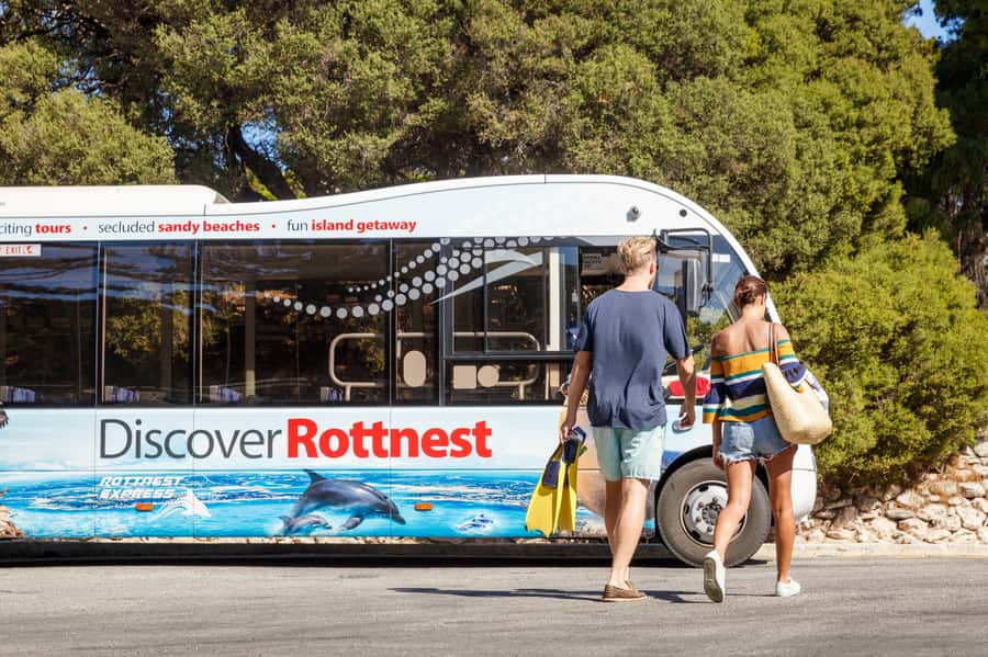 From Fremantle: Rottnest Island Ferry & Bus Day Tour - Comfort, access, and small practical details