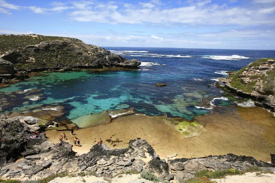 From Fremantle: Rottnest Island Ferry & Bus Day Tour - Seeing Rottnest from an air-conditioned coach