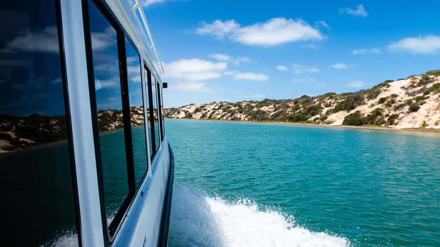 From Goolwa: Half-Day Coorong Experience - Past the Coorong Shacks into Storm Boy country