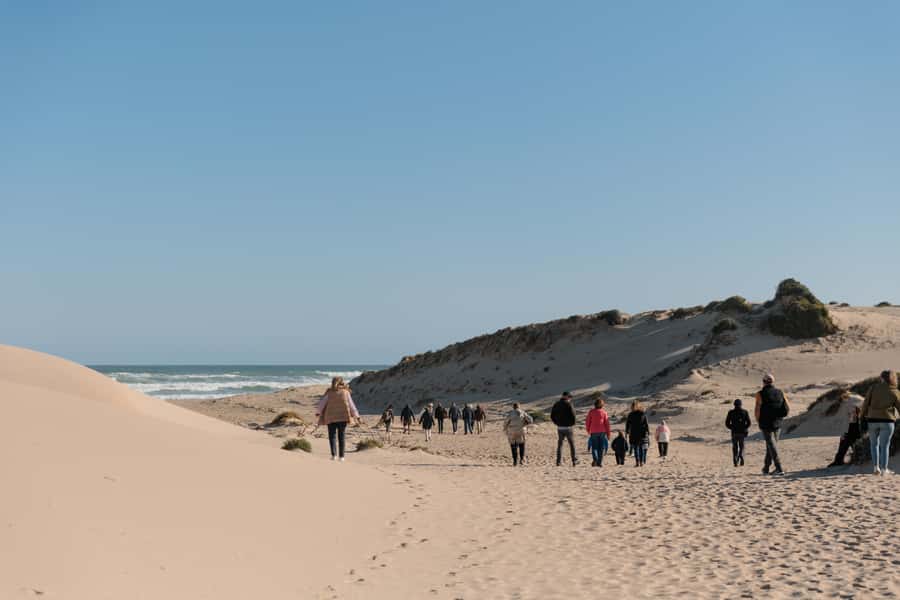 From Goolwa: Half-Day Coorong Experience - Returning with afternoon tea and more wildlife