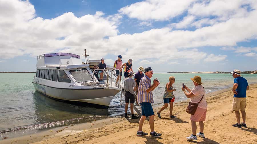 From Goolwa: Half-Day Coorong Experience - Through the barrage to the Murray Mouth