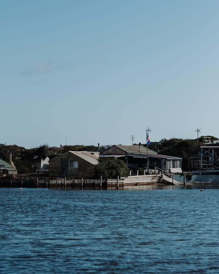 From Goolwa: Murray Mouth Cruise - Watching for seals and wetland birds
