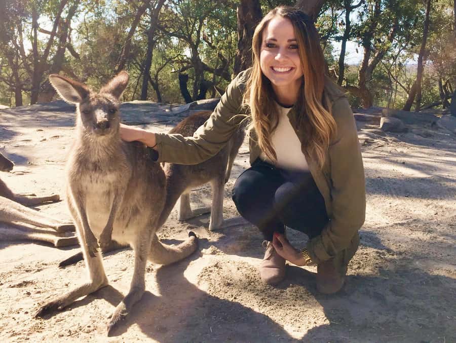 From Haymarket: Hunter Valley Wine and Wildlife Day Trip - Key points to know before booking