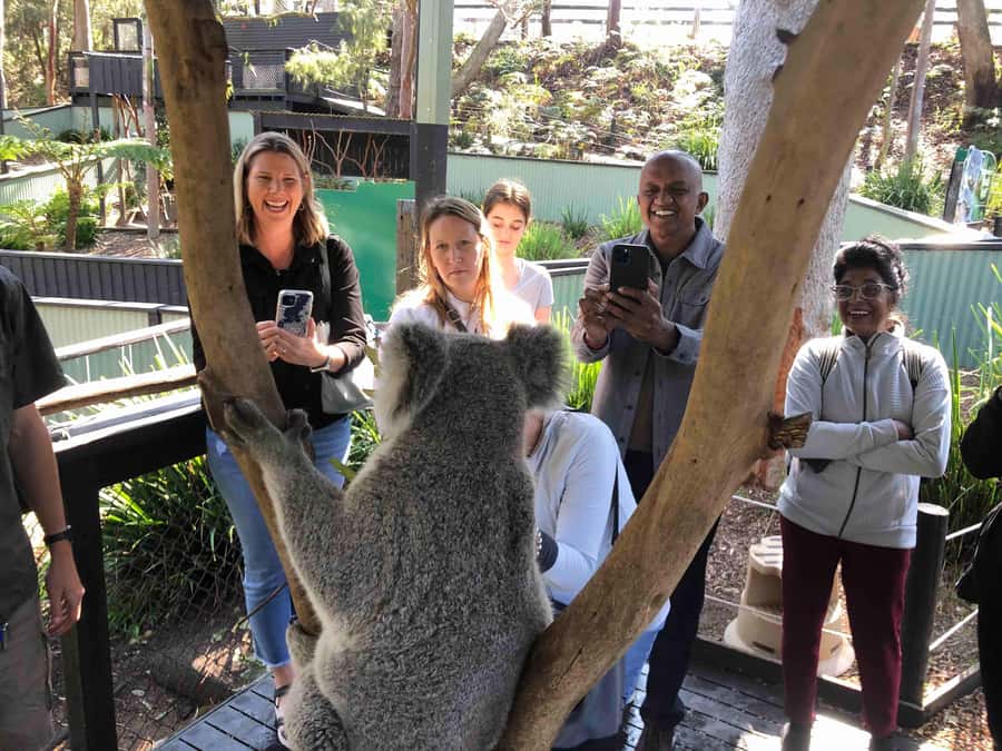 From Haymarket: Hunter Valley Wine and Wildlife Day Trip - Booking tips for a smoother day