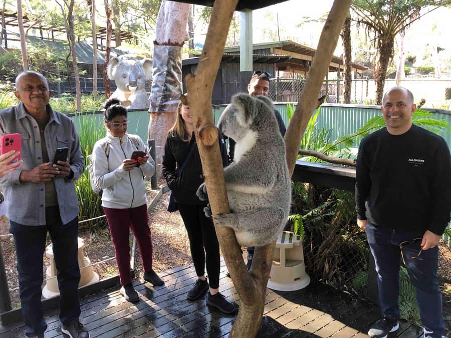 From Haymarket: Hunter Valley Wine and Wildlife Day Trip - Why this day trip works