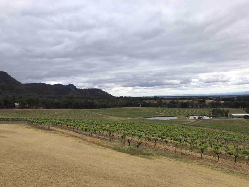 From Haymarket: Hunter Valley Wine and Wildlife Day Trip - Chocolate and cheese before the vineyards