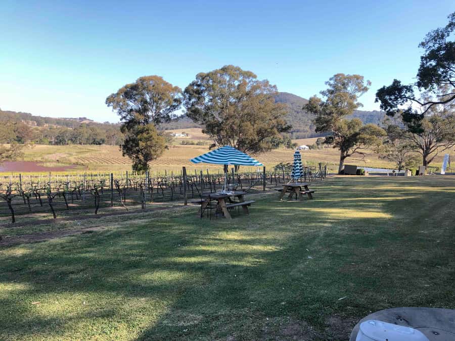 From Haymarket: Hunter Valley Wine and Wildlife Day Trip - Who will enjoy this trip most