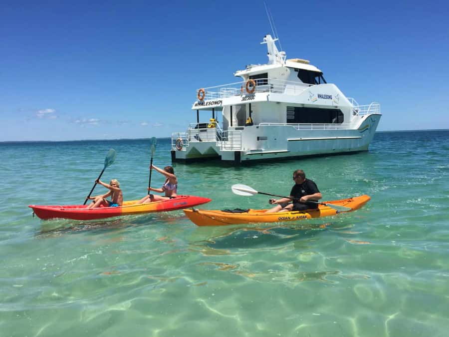 From Hervey Bay: Half-Day K'gari Fraser Island Beach Cruise - Wildlife and the quiet appeal of the western shore