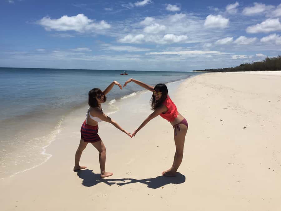 From Hervey Bay: Half-Day K'gari Fraser Island Beach Cruise - What $113 buys you