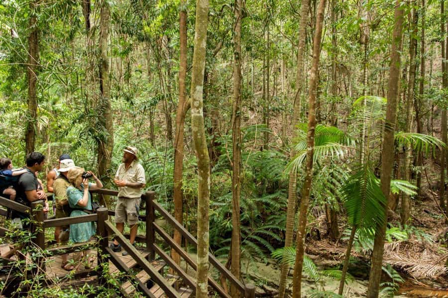 From Hervey Bay: K'gari, Fraser Island Full-Day Coach Tour - Why this tour works for a one-day visit