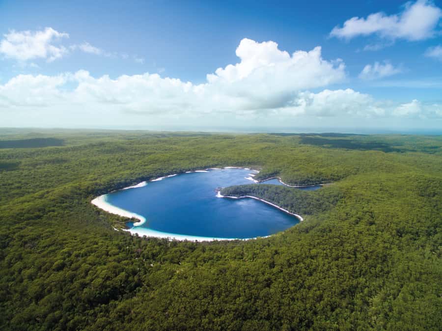 From Hervey Bay: K'gari, Fraser Island Full-Day Coach Tour - 75 Mile Beach, the Maheno wreck, and Eli Creek