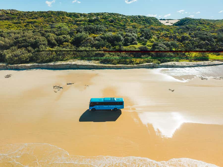 From Hervey Bay: K'gari, Fraser Island Full-Day Coach Tour - The guide and the quality of the ride
